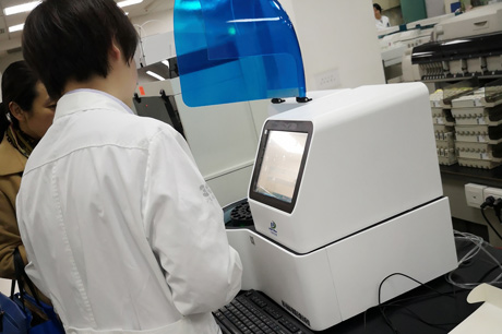 北京成人漫画网站介紹五一成人漫画對生殖和繁育有多重要